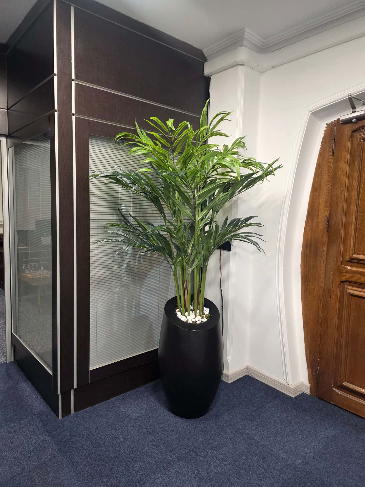 Central Office Project — Image 4